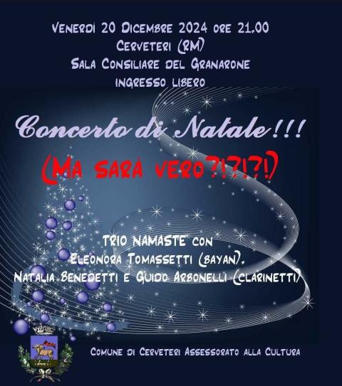 Concerto di Natale - Namastè Concerto di Natale - Namastè
