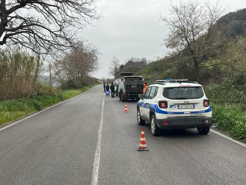 Settevene Palo Nuova_pulizia