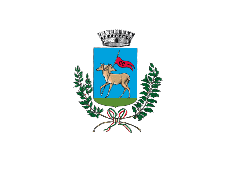 Logo Comune di Cerveteri_colori_negativo