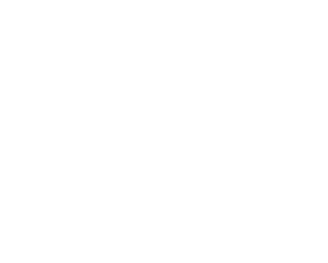 Logo Comune di Cerveteri_monocromatico negativo_alternativo
