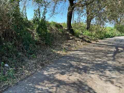 Completata la rimozione dei rifiuti e la bonifica della Via Settevene Palo Nuova che collega Cerveteri a Bracciano