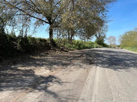 Completata la rimozione dei rifiuti e la bonifica della Via Settevene Palo Nuova che collega Cerveteri a Bracciano