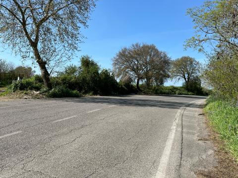 Completata la rimozione dei rifiuti e la bonifica della Via Settevene Palo Nuova che collega Cerveteri a Bracciano