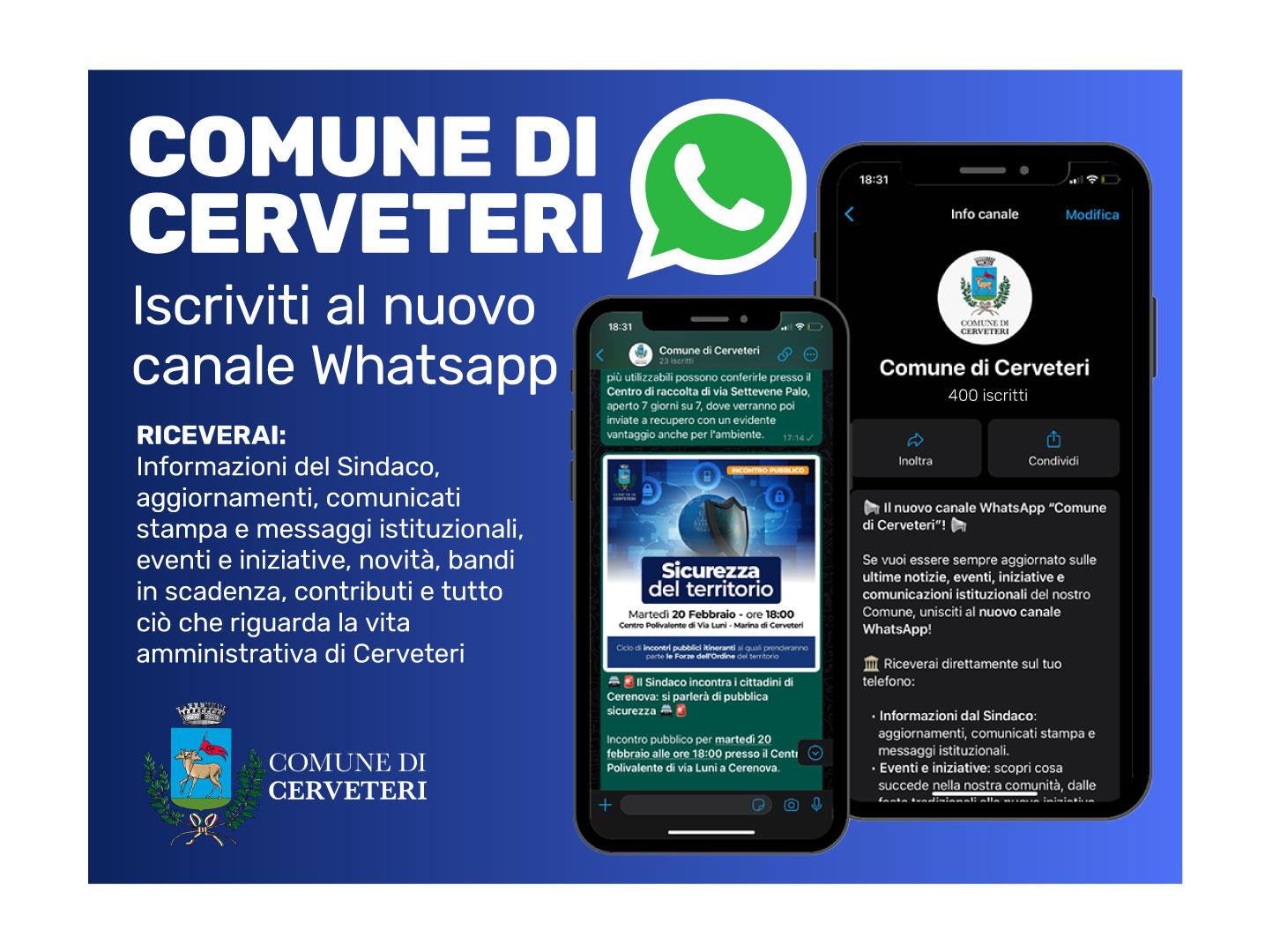 grafica canale whatsapp